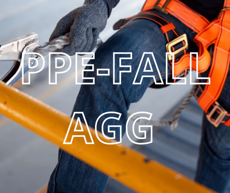 PPE-FALL AGG - Corso di aggiornamento sull'uso di sistemi individuali contro le cadute dall'alto