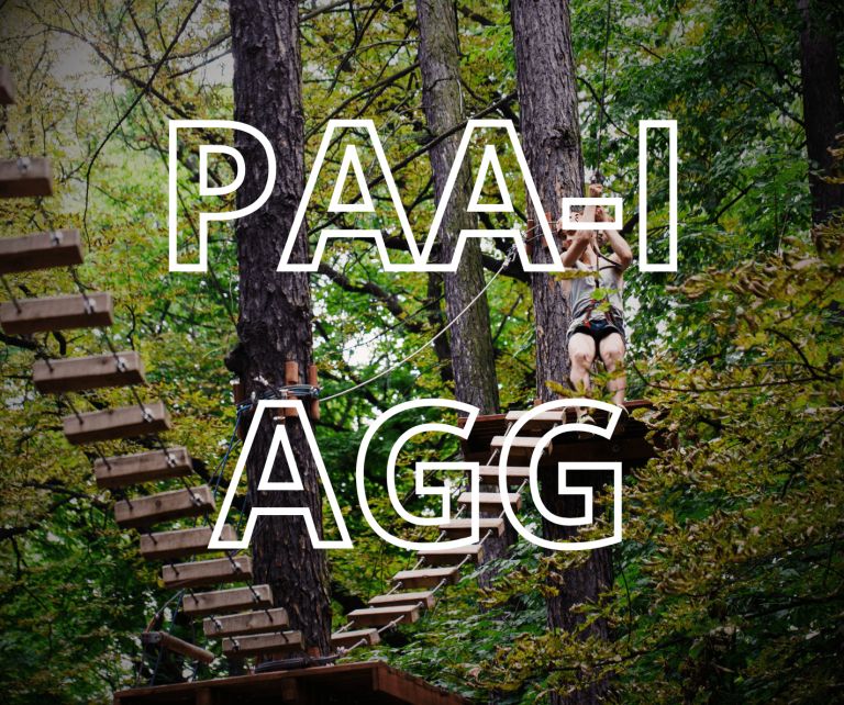 PAA-I AGG - Corso di aggiornamento per istruttori parchi avventura