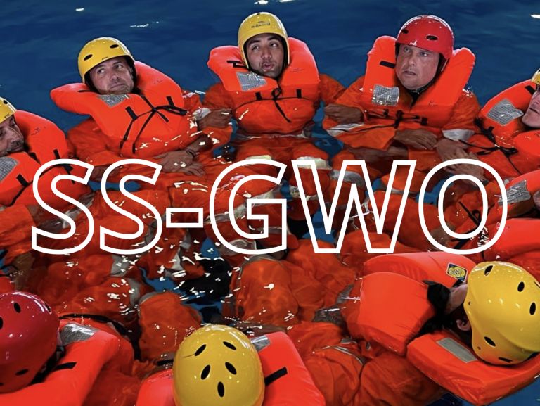 GWO - Sea Survival